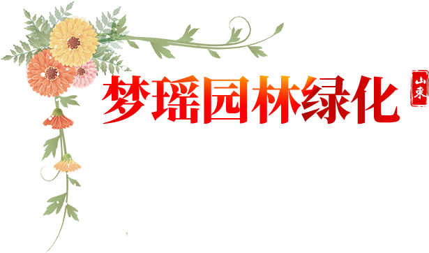 永阳花卉-专注于花卉种植，花海工程设计，施工